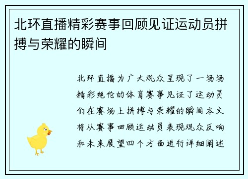 北环直播精彩赛事回顾见证运动员拼搏与荣耀的瞬间